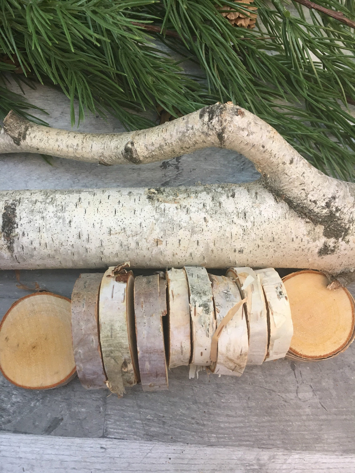 Natural White Birch Wood Slices & Disks | Set of 15