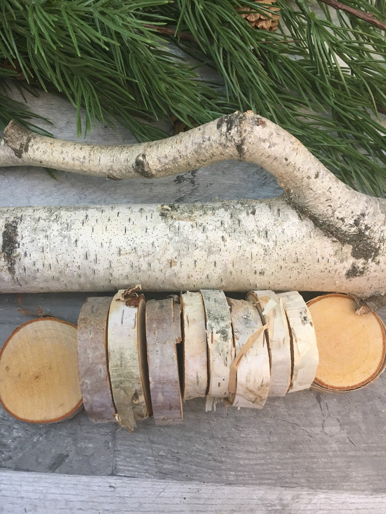 Natural White Birch Wood Slices & Disks | Set of 15