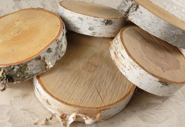Natural White Birch Wood Slices & Disks | Set of 15