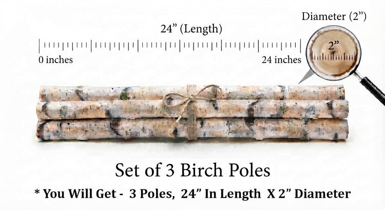 Three bundled birch poles tied with twine, shown on a white background with measurement labels indicating 24 inches in length and 2 inches in diameter, plus a magnifying glass inset.