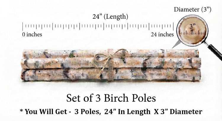 Three bundled birch poles with a twine bow, shown on a white background with measurement labels indicating 24 inches in length and 3 inches in diameter, plus a magnifying glass inset.