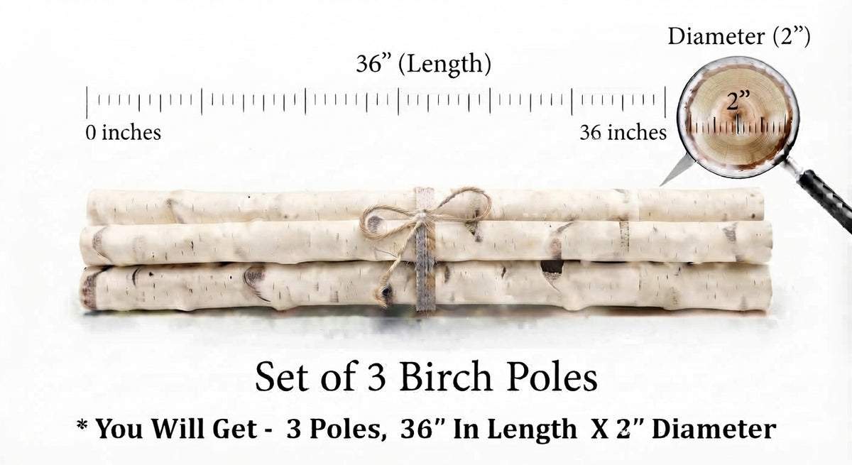 Three bundled birch poles tied with twine, shown on a white background with measurement labels indicating 36 inches in length and 2 inches in diameter, plus a magnifying glass detail callout.