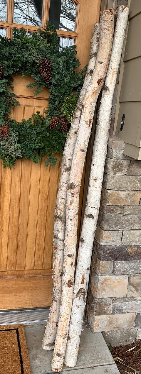 Three natural birch logs with white bark and brown knots leaning against a stone and wood exterior wall next to a decorated front door. Sold by The Stick And Stem, but birch poles and branches