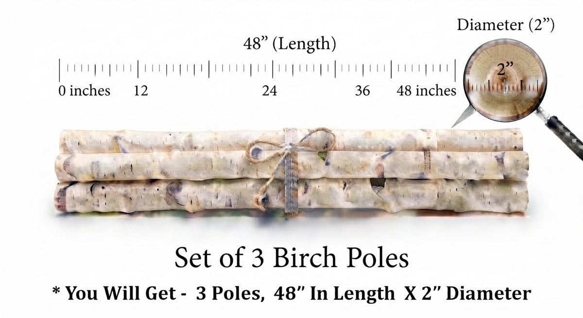 Sold by The Stick And Stem