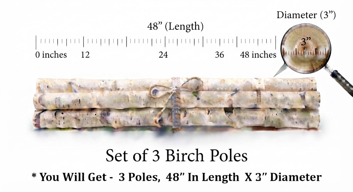 Three bundled birch poles wrapped with string, shown on a white background with measurement text and a magnifying glass detail indicating 48 inches in length and 3 inches in diameter.