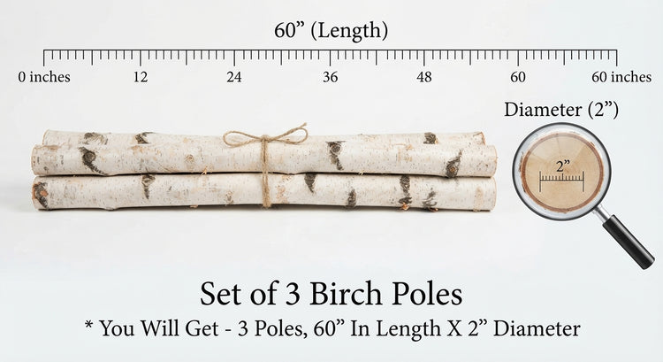 Three bundled birch poles with a ruler graphic showing 60 inches length and 2 inch diameter, plus a magnifying glass detail and text stating 'Set of 3 Birch Poles'.