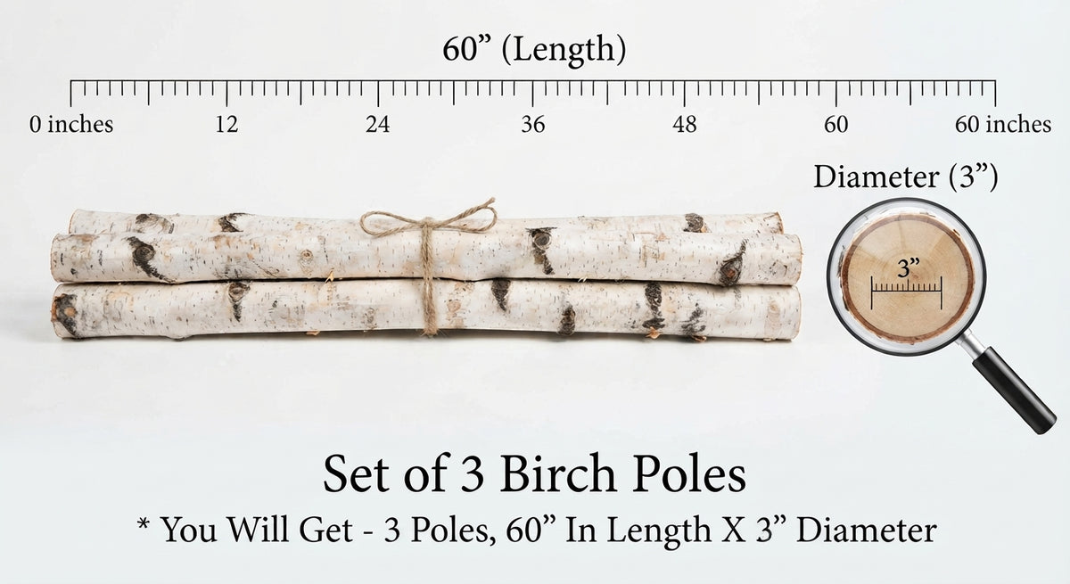 Three bundled birch poles with natural white bark and dark markings, shown on a light gray background with measurement labels indicating 60 inches in length and 3 inches in diameter. A magnifying glass inset shows the bark detail, and text at the bottom reads 'Set of 3 Birch Poles' with size notes.