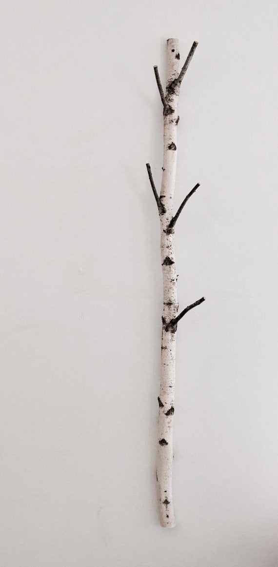 Natural White Birch Branches for Vases & Crafts | Set of 3