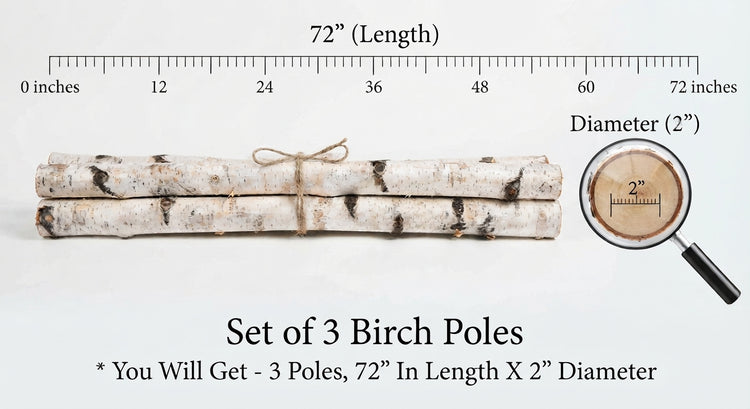 Three bundled birch poles with a ruler graphic showing 72 inches length and 2 inch diameter, plus a magnifying glass detail and text stating 'Set of 3 Birch Poles'.