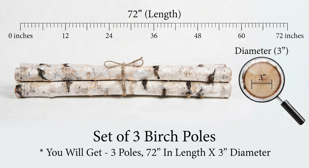 Three bundled birch poles shown on a white background with measurement labels indicating 72 inches in length and 3 inches in diameter, plus a magnifying glass inset and text stating 'Set of 3 Birch Poles'.