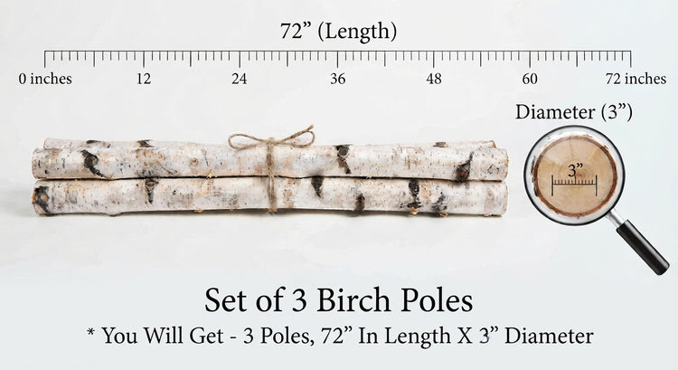 Three bundled birch poles shown on a white background with measurement labels indicating 72 inches in length and 3 inches in diameter, plus a magnifying glass inset and text stating 'Set of 3 Birch Poles'.