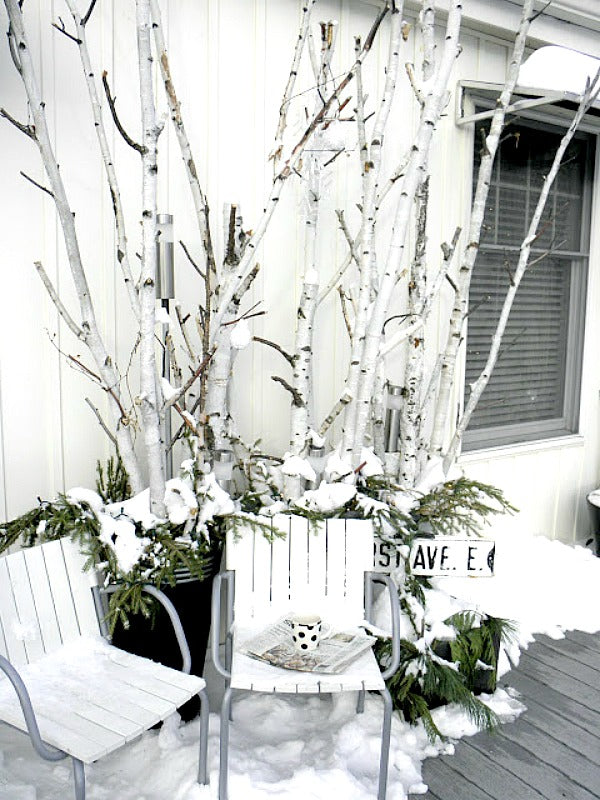 Natural White Birch Branches for Vases & Crafts | Set of 3