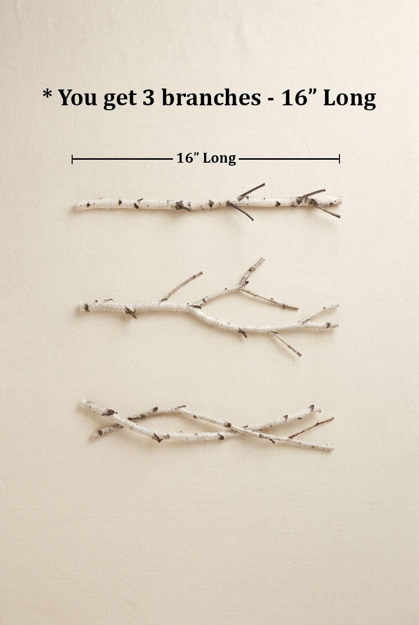 Natural White Birch Branches for Vases & Crafts | Set of 3