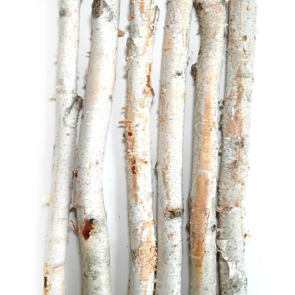 Six natural birch tree logs with textured white bark and exposed light brown wood, arranged vertically against a plain white background. Sold By The Stick And Stem