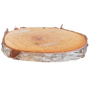 Natural White Birch Wood Slices & Disks | Set of 15