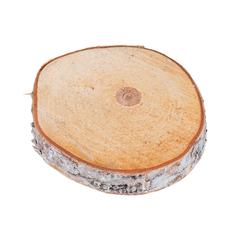 Natural White Birch Wood Slices & Disks | Set of 15