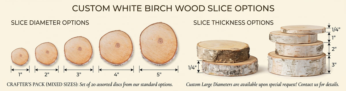 Natural White Birch Wood Slices & Disks | Set of 15
