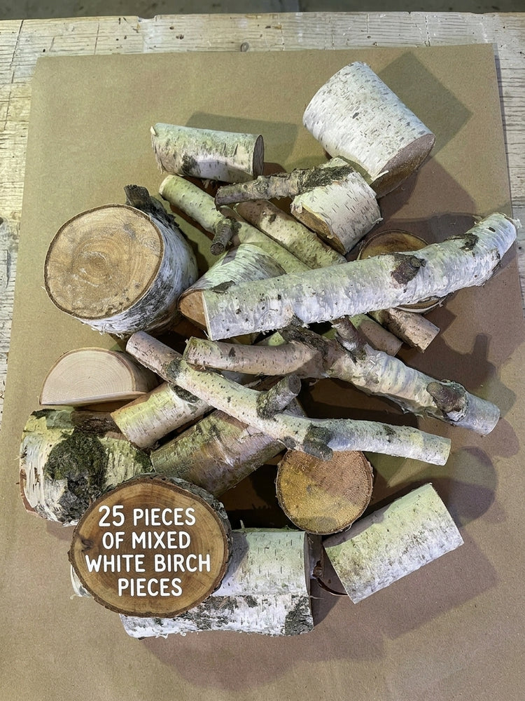 Natural White Birch Craft Pieces | Approx. 25-Piece Mixed Pack