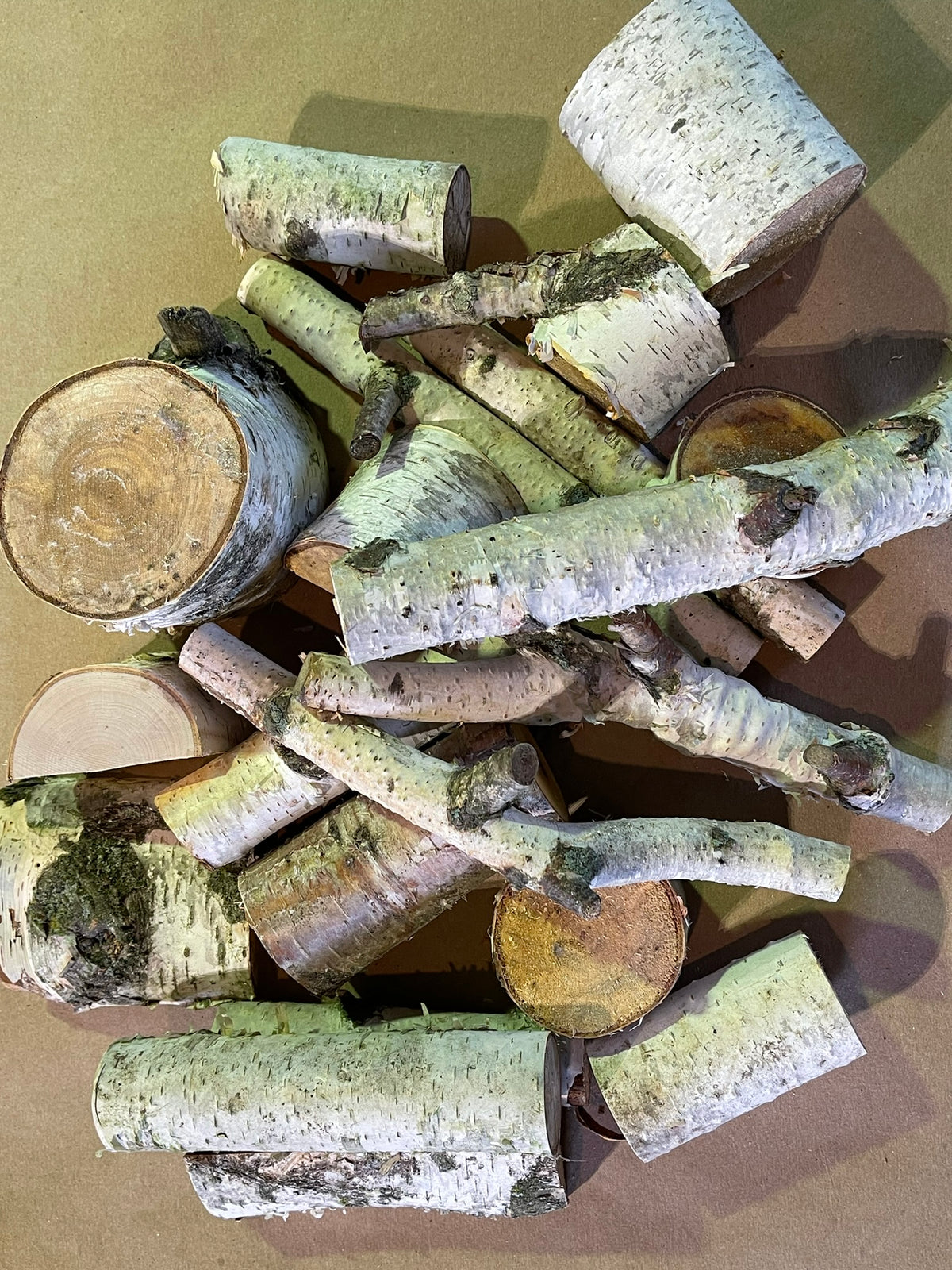 Natural White Birch Craft Pieces | Approx. 25-Piece Mixed Pack