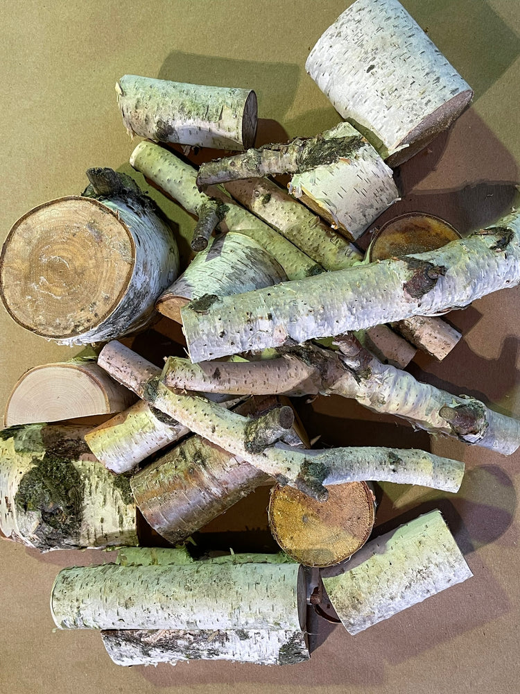 Natural White Birch Craft Pieces | Approx. 25-Piece Mixed Pack