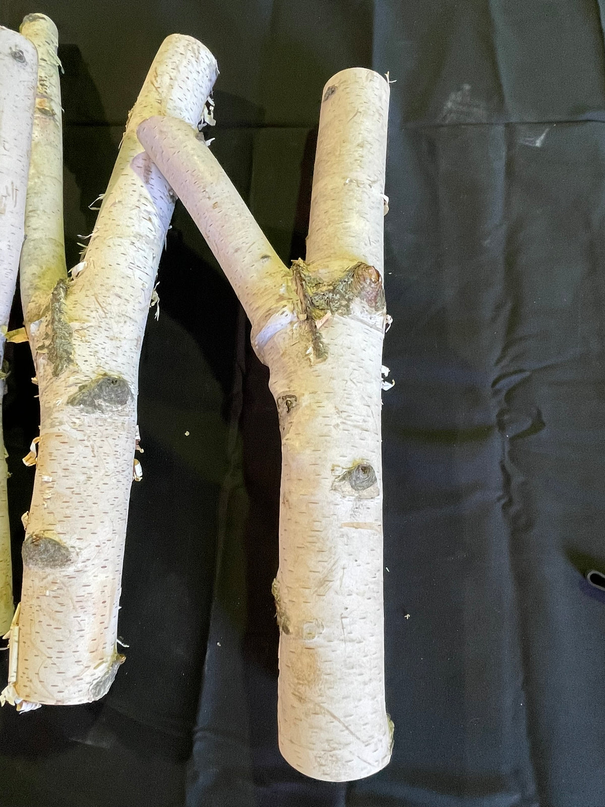 Natural White Birch Y Branches for Crafts & Decor | Set of 3