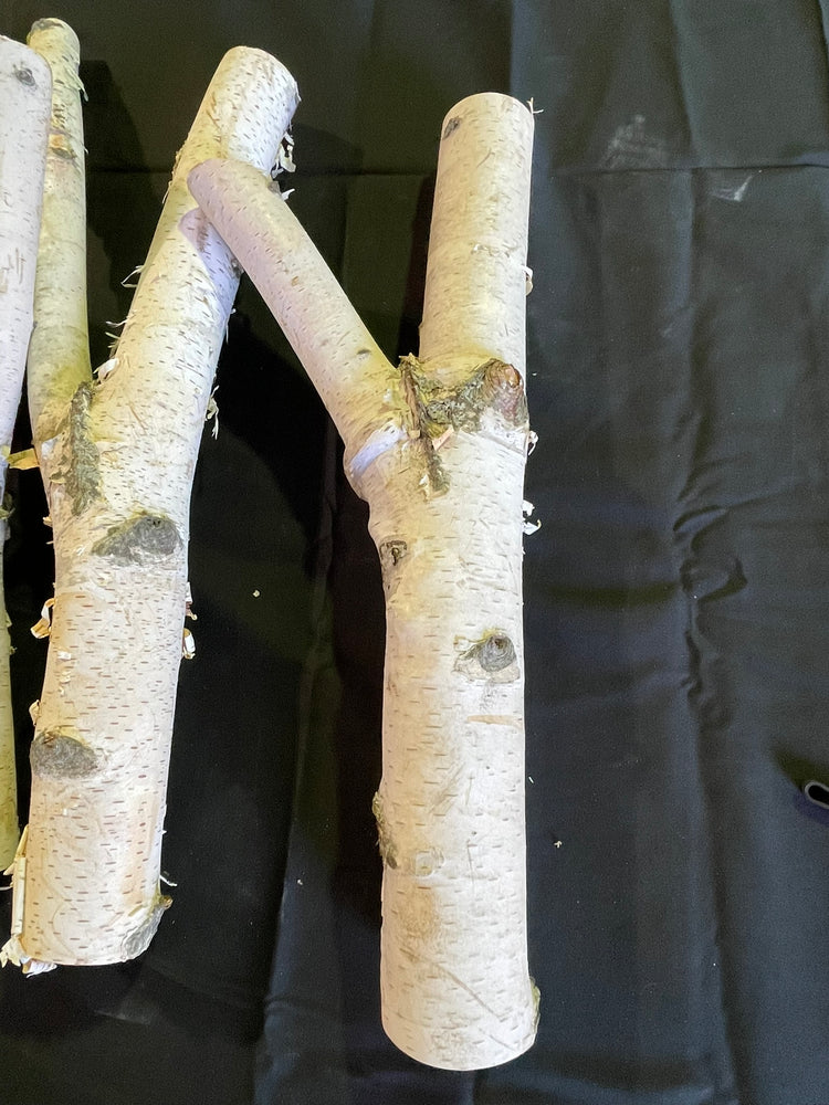 Natural White Birch Y Branches for Crafts & Decor | Set of 3