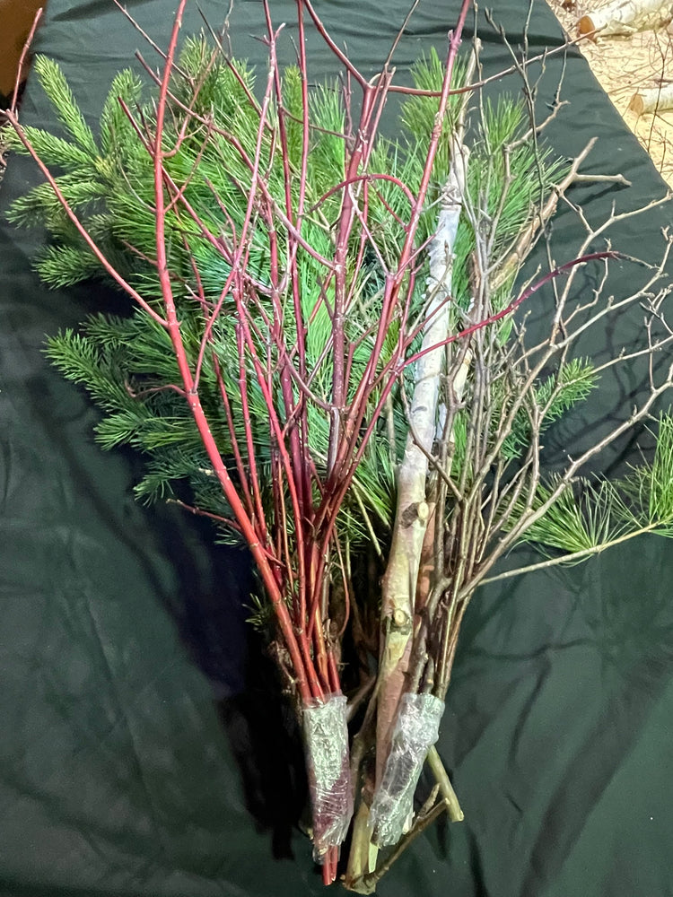 A bundle of natural holiday greenery and branches, featuring bright red twig dogwood, birch branches, Birch Twigs and green pine needles, wrapped at the base and laid on a black fabric background.