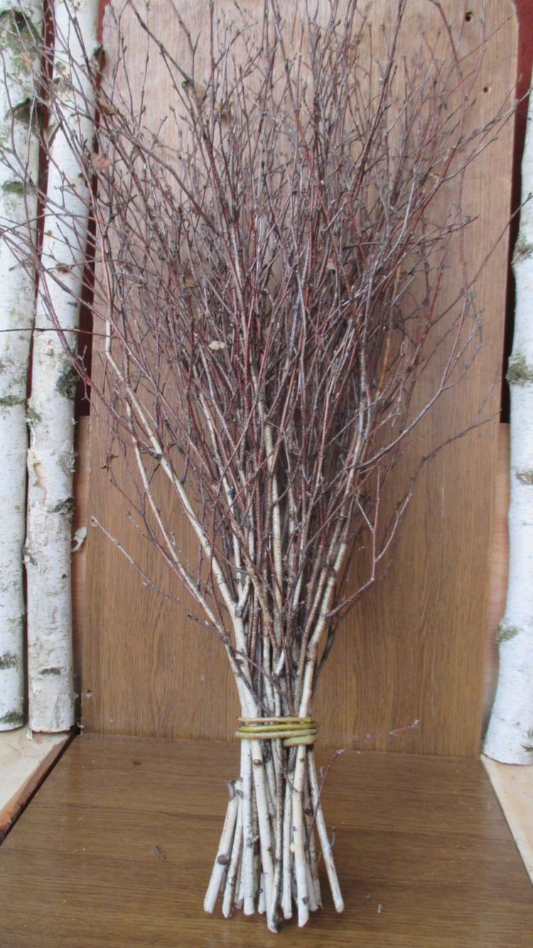 Fresh-Cut White Birch Tree Branches, 60–72 Inches | Set of 2