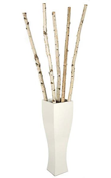 A decorative arrangement of six natural birch branches with white bark, displayed in a tall, modern white ceramic vase against a plain white background.