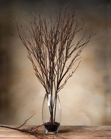 A clear glass vase filled with dark brown dried birch twigs displayed on a rustic wooden surface against a warm, textured brown background. 