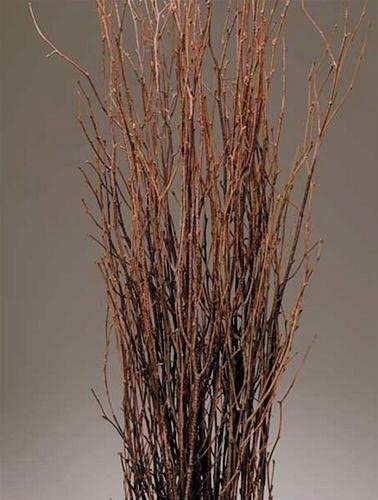 A bundle of natural brown decorative birch twig branches arranged upright against a plain gray background. Sold By The Stick And Stem