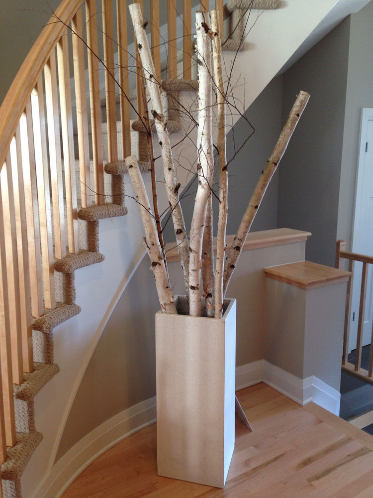 A tall rectangular white planter filled with birch tree trunks and branches, placed on a wooden staircase landing in a home interior. buy birch products at the stick and stem