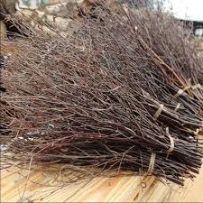 bundles of all natural white birch twigs sold by The Stick And Stem