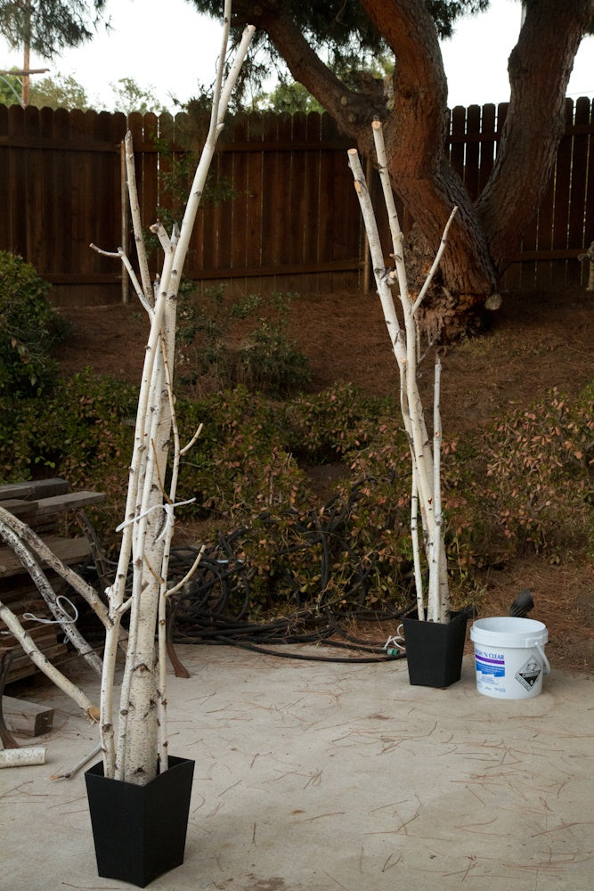 Natural White Birch Branches for Vases & Crafts | Set of 3