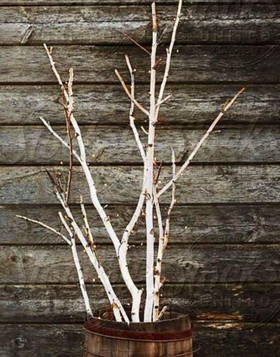 Natural White Birch Branches for Vases & Crafts | Set of 3