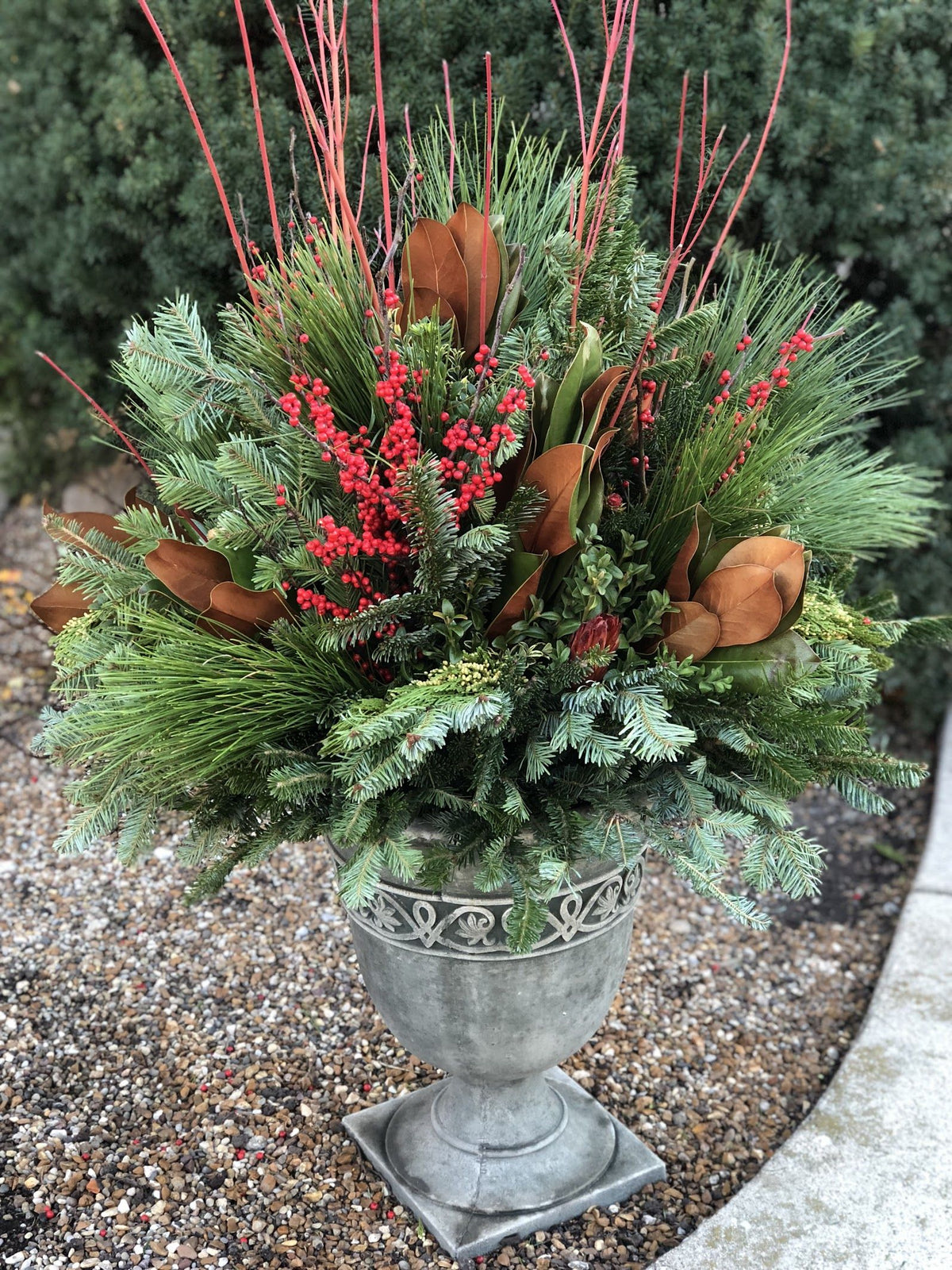 Fresh-Cut Short-Needle Spruce Boughs | Set of 10