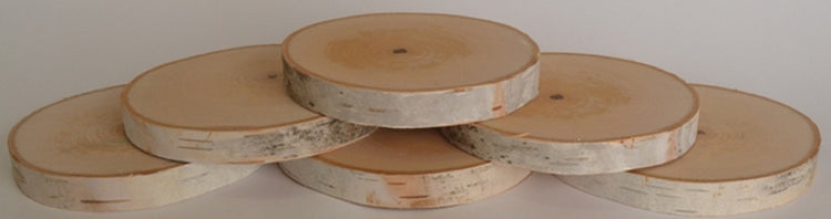 Natural White Birch Wood Slices & Disks | Set of 15