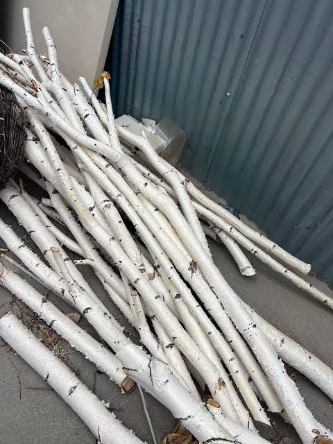Natural White Birch Branches for Vases & Crafts | Set of 3