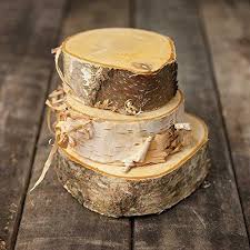 Natural White Birch Wood Slices & Disks | Set of 15