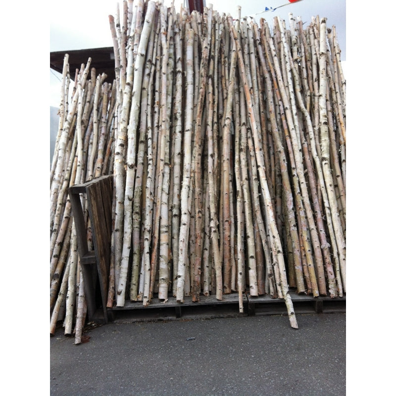 A large stack of natural birch poles  white bark and black markings, leaning against a wooden frame on an outdoor paved surface.