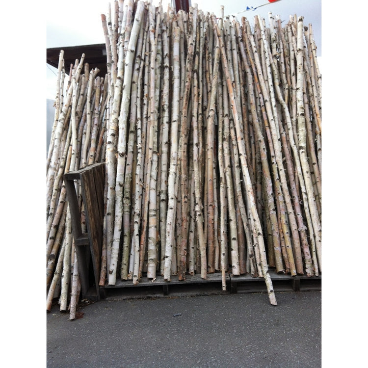A large stack of natural birch poles  white bark and black markings, leaning against a wooden frame on an outdoor paved surface.