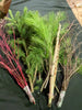 CrafterVaseFillerBundle. Red Dogwood Stems, Birch Twigs, Birch Branches for sale