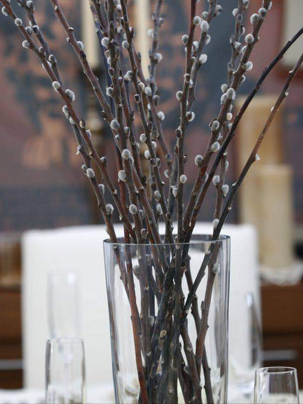 A clear glass cylinder vase filled with dried brown pussywillow stems covered in small white catkins, set on a table with blurred glassware and candles in the background. buy them at The Stick And Stem