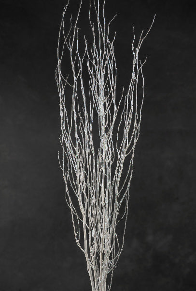 A bundle of white painted birch branches with delicate, twiggy limbs, set against a dark textured background. Sold By The Stick And Stem