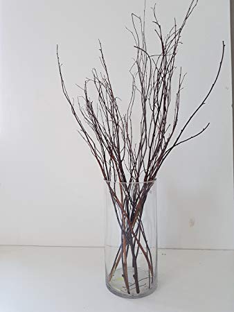 A clear cylindrical glass vase filled with dried brown birch twigs and branches, set against a plain white background.