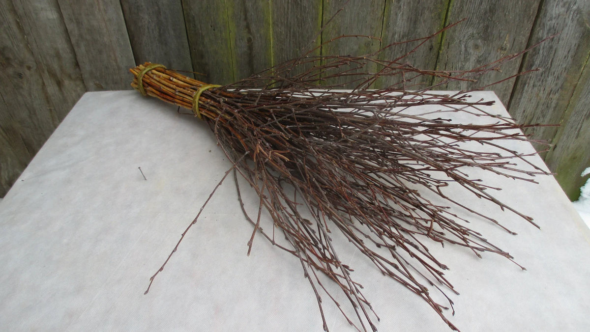 white birch twigs bundle, Sold By The Stick And Stem