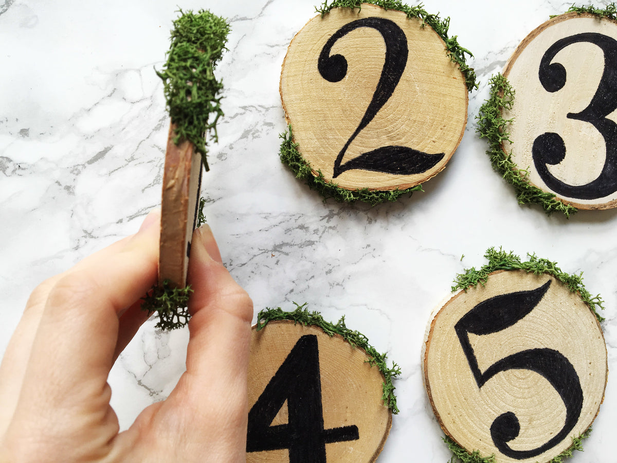 Natural White Birch Wood Slices & Disks | Set of 15